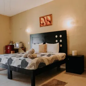 Mi Viejo Chit Apartamento