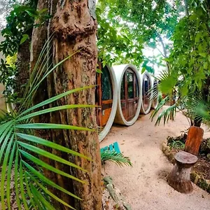  Albergue Tubo México